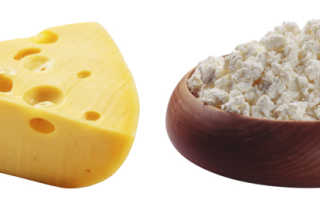Творожный сыр полезен ли