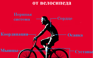 Чем полезен велоспорт