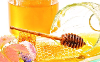 Полезен ли мед для желудка
