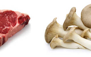 Что полезнее мясо или грибы