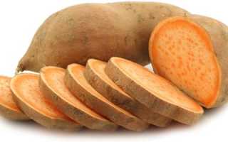 Картофель батат полезные свойства