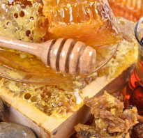 Прополисный мед полезные свойства