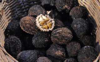 Черный орех полезные свойства и применение