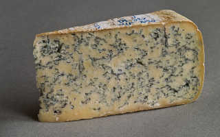 Сыр с плесенью полезен или вреден