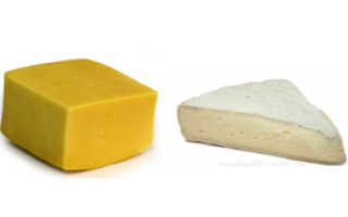 Сыр мягкий или твердый какой полезнее