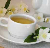Полезные свойства зеленого чая с жасмином