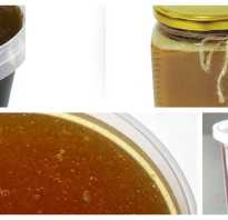 Черноклен мед полезные свойства