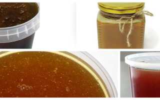 Мед из черноклена полезные свойства