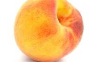 Персики консервированные польза и вред