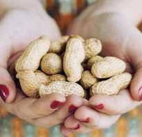 Полезные свойства арахис для женщин