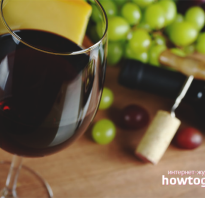 Польза и вред красного вина для здоровья