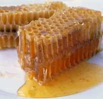 Пчелиная сота полезные свойства