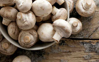 Чем полезны грибы шампиньоны для человека