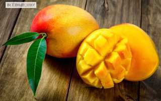Полезные свойства манго для организма