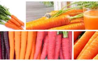 О пользе моркови