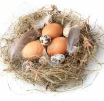 Яйца полезнее куриные или перепелиные