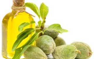 Оливковое масло вред
