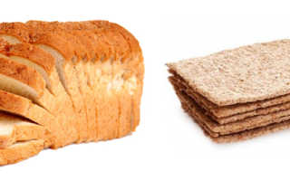 Чем полезны хлебцы злаковые