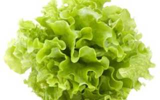 Полезные свойства салата