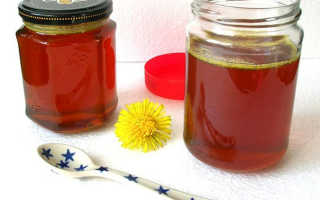 Одуванчиковый мед полезные свойства