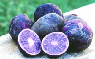 Чем полезен фиолетовый картофель