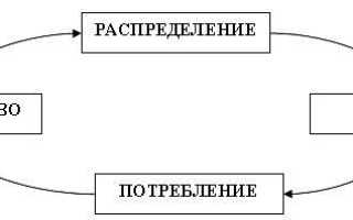 Процесс создания полезного продукта